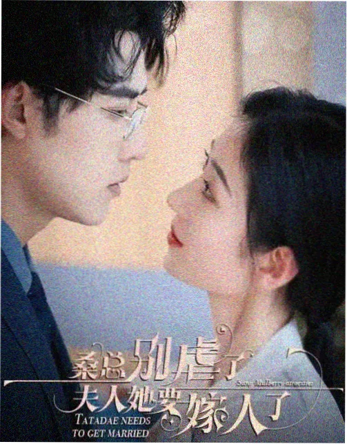 玻璃幕墙下都市商战剧字幕标本封面